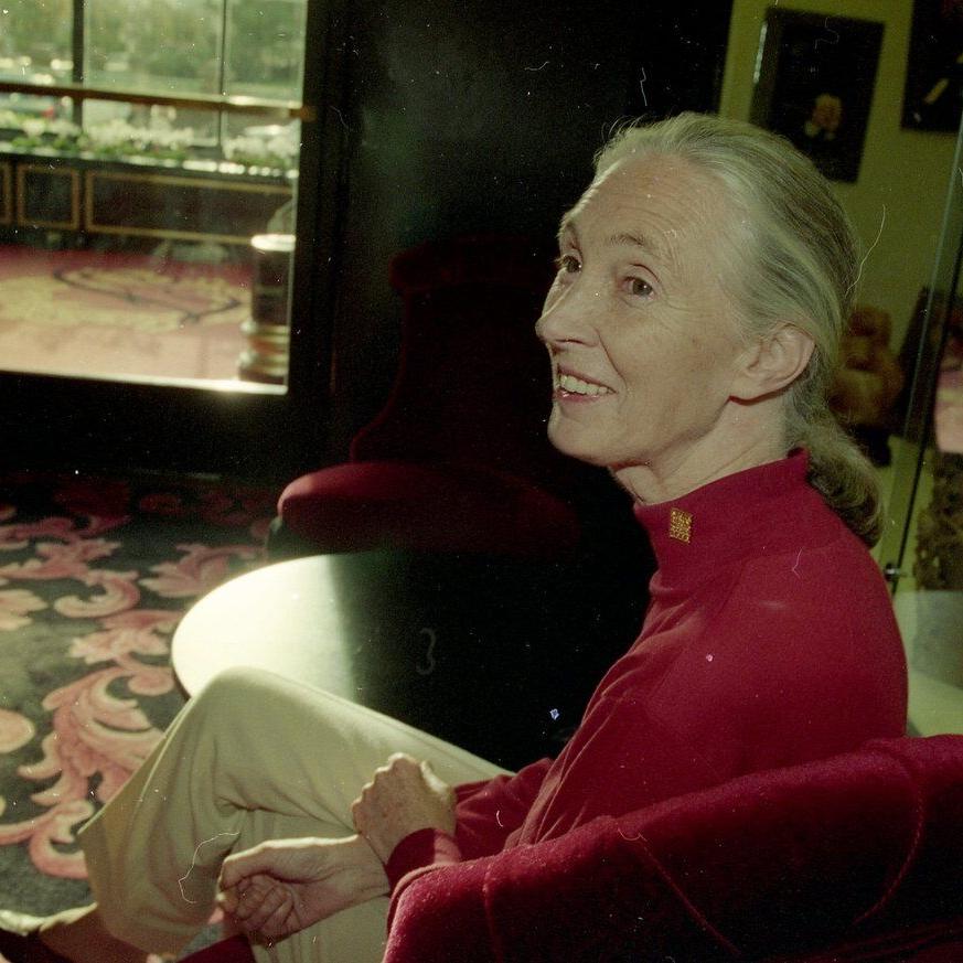 What to know about the life and legacy of chimpanzee researcher and wildlife advocate Jane Goodall